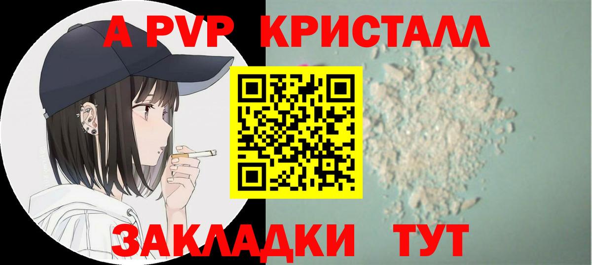 A PVP СК КРИС Тамбов
