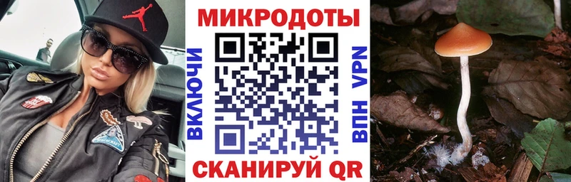 Псилоцибиновые грибы прущие грибы  где можно купить   Тамбов 