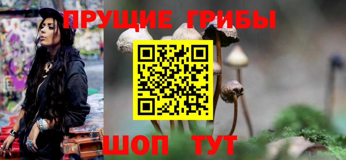 Псилоцибиновые грибы Psilocybine cubensis  Вход с VPN  Тамбов 